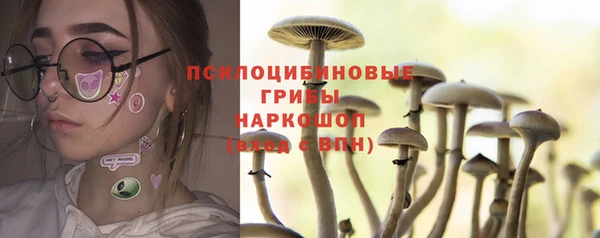 молекула духа Наволоки