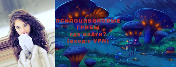 прущие грибы Дмитров