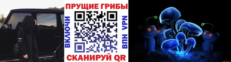 Псилоцибиновые грибы Psilocybine cubensis  как найти наркотики  ОМГ ОМГ как зайти  Лысьва 