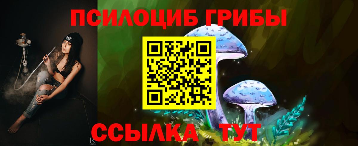 Псилоцибиновые грибы прущие грибы Лысьва